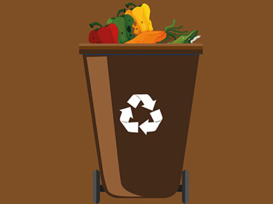 Bac pour les déchets végétaux